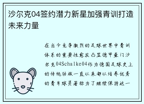 沙尔克04签约潜力新星加强青训打造未来力量