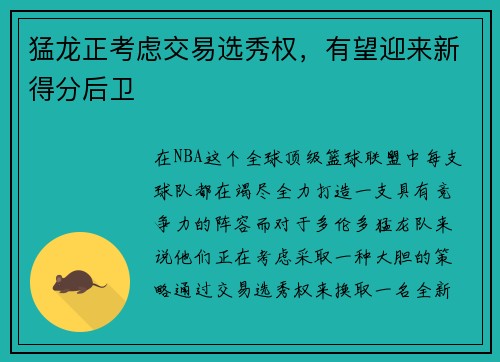 猛龙正考虑交易选秀权，有望迎来新得分后卫